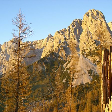 Gasthof Hunerkogel Otel Ramsau am Dachstein Dış mekan fotoğraf