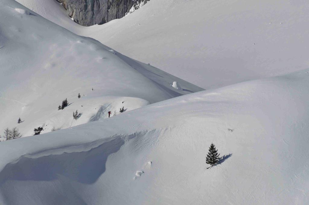 Gasthof Hunerkogel Otel Ramsau am Dachstein Dış mekan fotoğraf